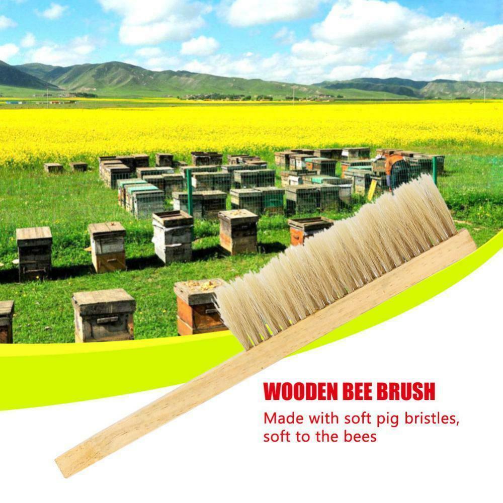 Wooden Natural Beekeeping Bee Brush Beekeepers Beehive Tool Equipment