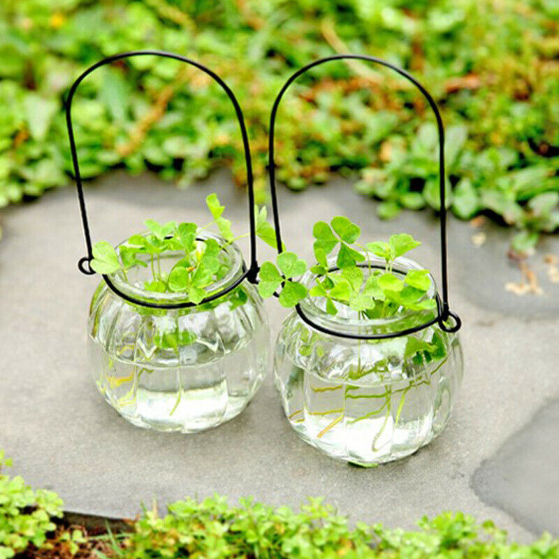 Hydroponic Vase Glass Bottle Pumpkin Flower Arrangement Small Hanging Bot SJ