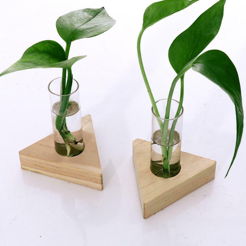 Test Tube Planter Flower Bud Vase Tabletop Glass Pot for Hydroponics Plants