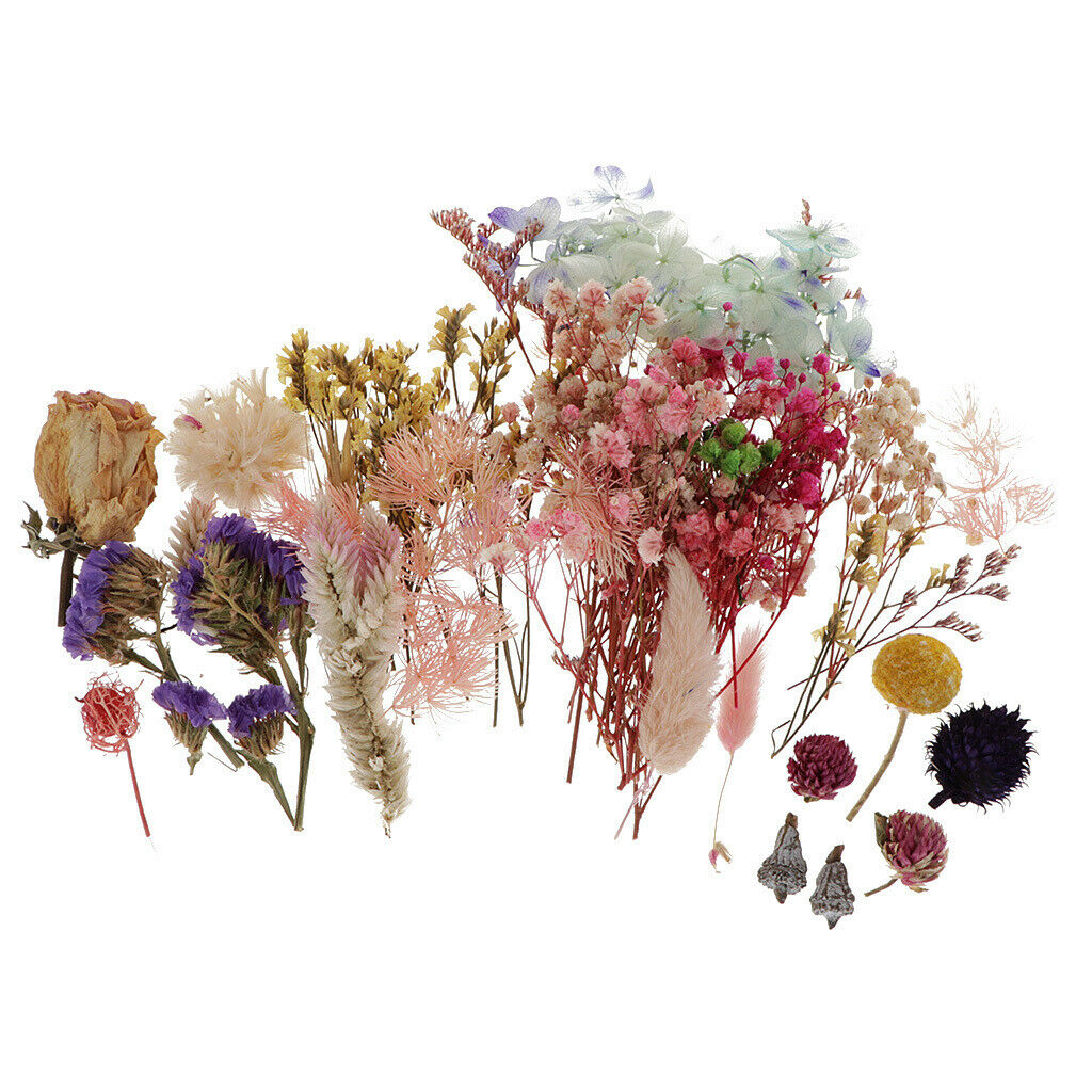 Dried Flowers, Bundles of Real Dried Flowers Pressed Leaves, Home Floral Crafts
