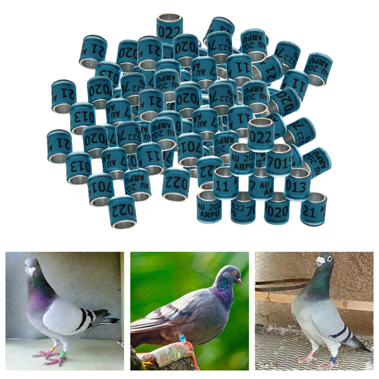 100Pcs 2022 Aluminium Dove Racing Pigeon Foot Rings Bands 8mm Blue