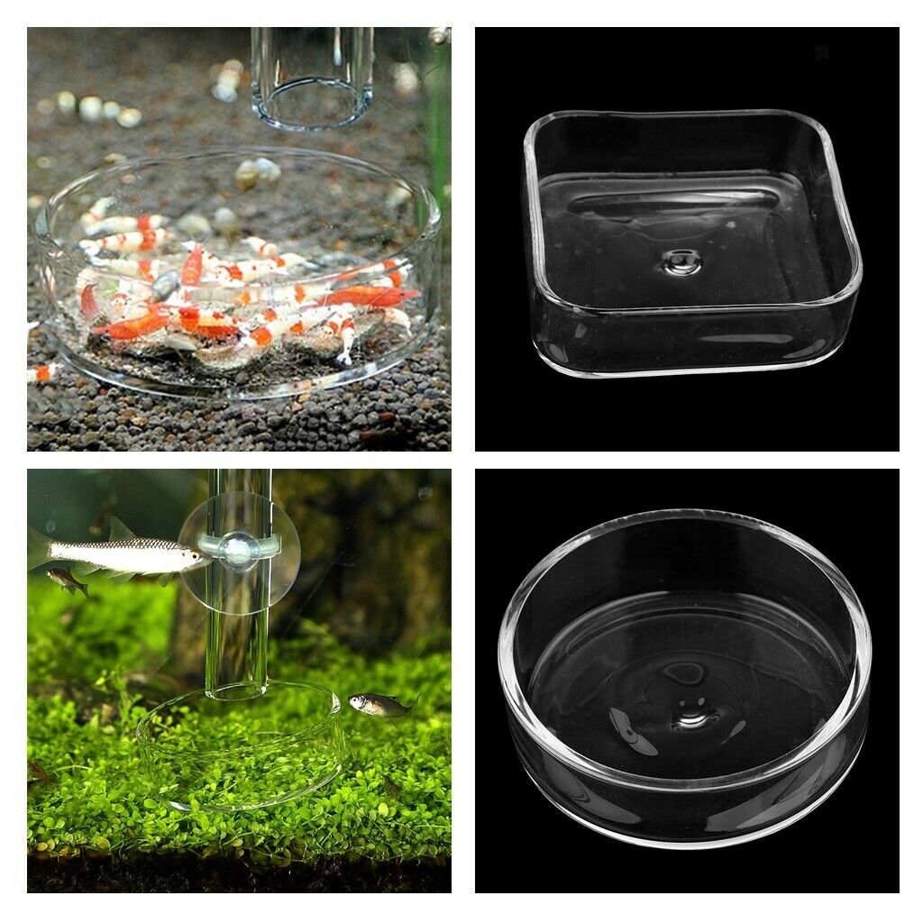 Pieces Transparent Fish Tank Shrimp Feeding Container Useful Pet Tray Round