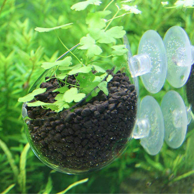 8Pcs Aquatic Plant Crystal Glass Cup Pot for Aquarium   Tank Plant Holder