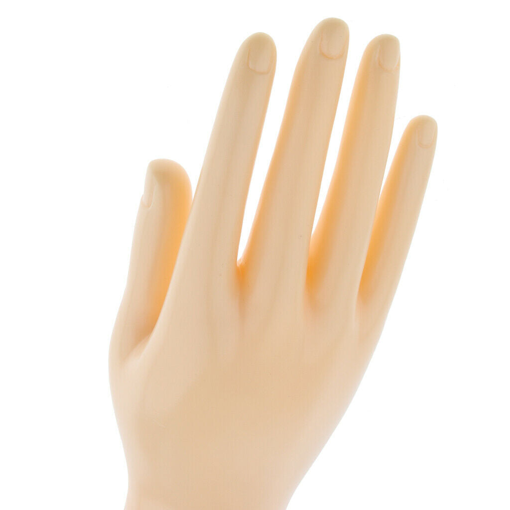 Left And Right Hands Display Gloves Jewelry Template for