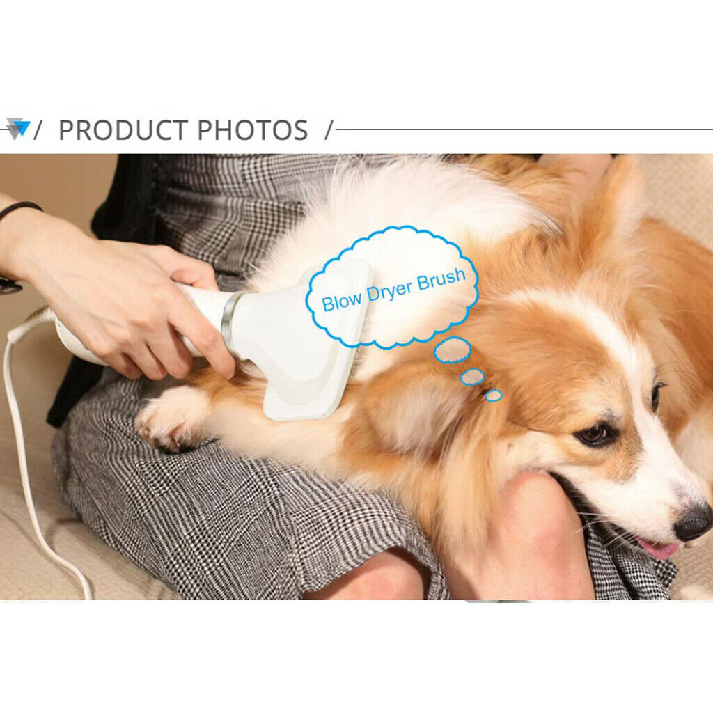 Pets Hair Dryer Blower Dogs Cat Blow Brush Grooming Comb Travel EU Plug