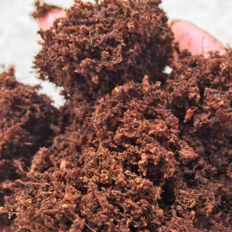 Mini Bonsai Nutritious Soil Cat Grass Meaty Potted Coconut Husk Powder Low Salt