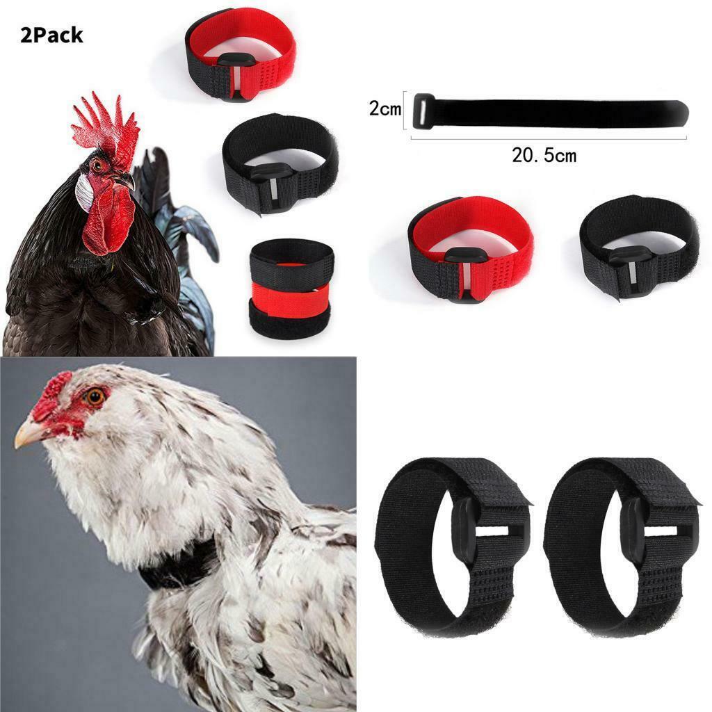 8x Chicken Collar Prevent Chicken from Disturbing Neighbors for Duck Black