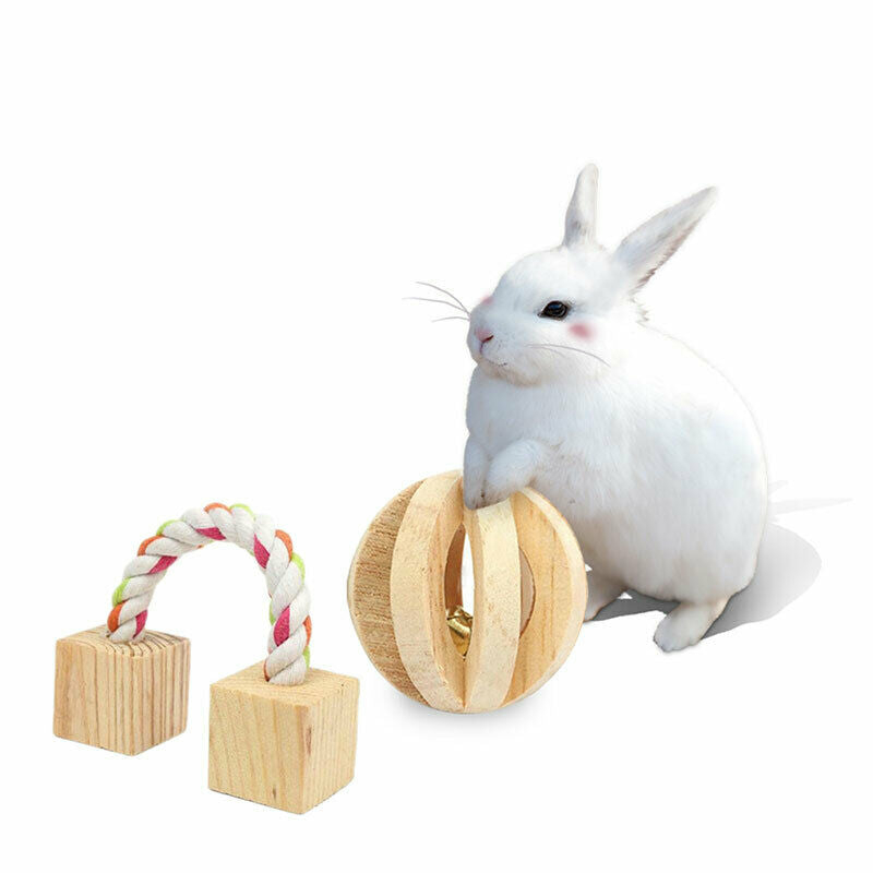 5Pcs/set Natural Wooden Rabbits Toys Chew Toys for Small Pet Molars SuppliesBIA