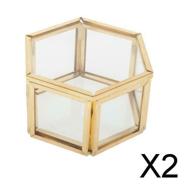 2X Glass Jewelry Organizer Display Case with Lid Plants Flower Holder Terrarium