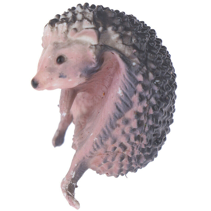3x capsule toys cute pets mini Hedgehog glass gashapon figures desktop Ki.l8