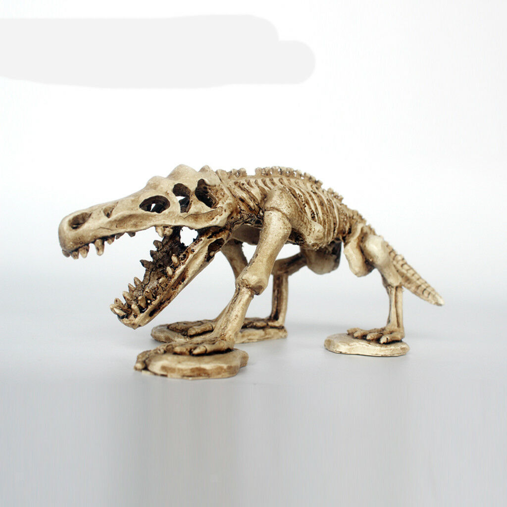 Decorative Ornament for Reptile Terrarium Vivarium Decor#6 Dinosaur Skeleton