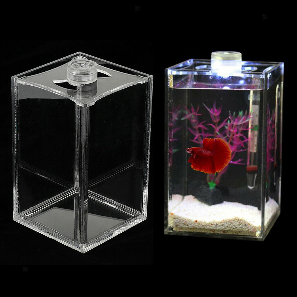 2pcs Mini Betta Fish Tank Tabletop New