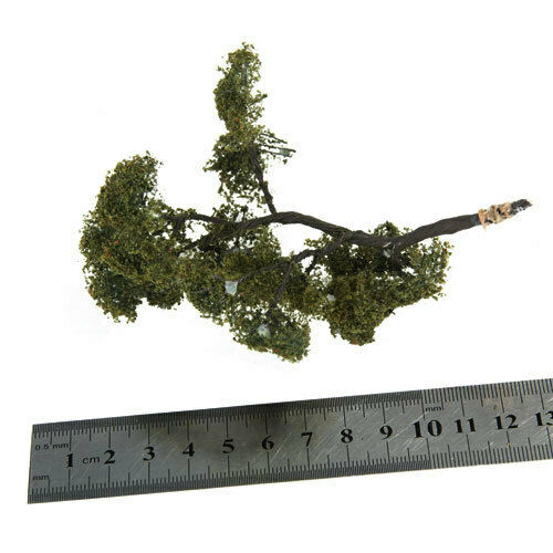 2x1: 75 Maple And Ash Trees, Tree Design, Tree Design, Garden