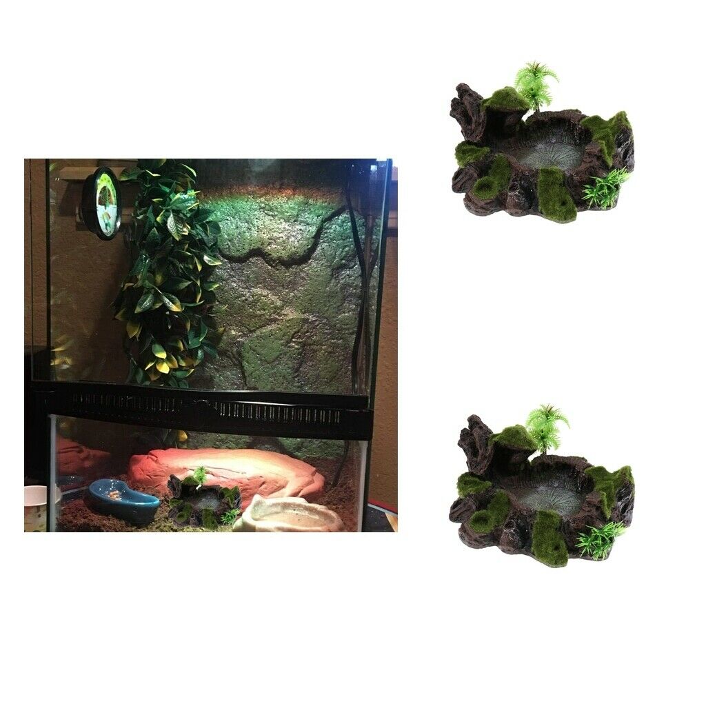 2x Reptile Water Lizards Turtle Feeder Dish for Reptile Bearded Dragons