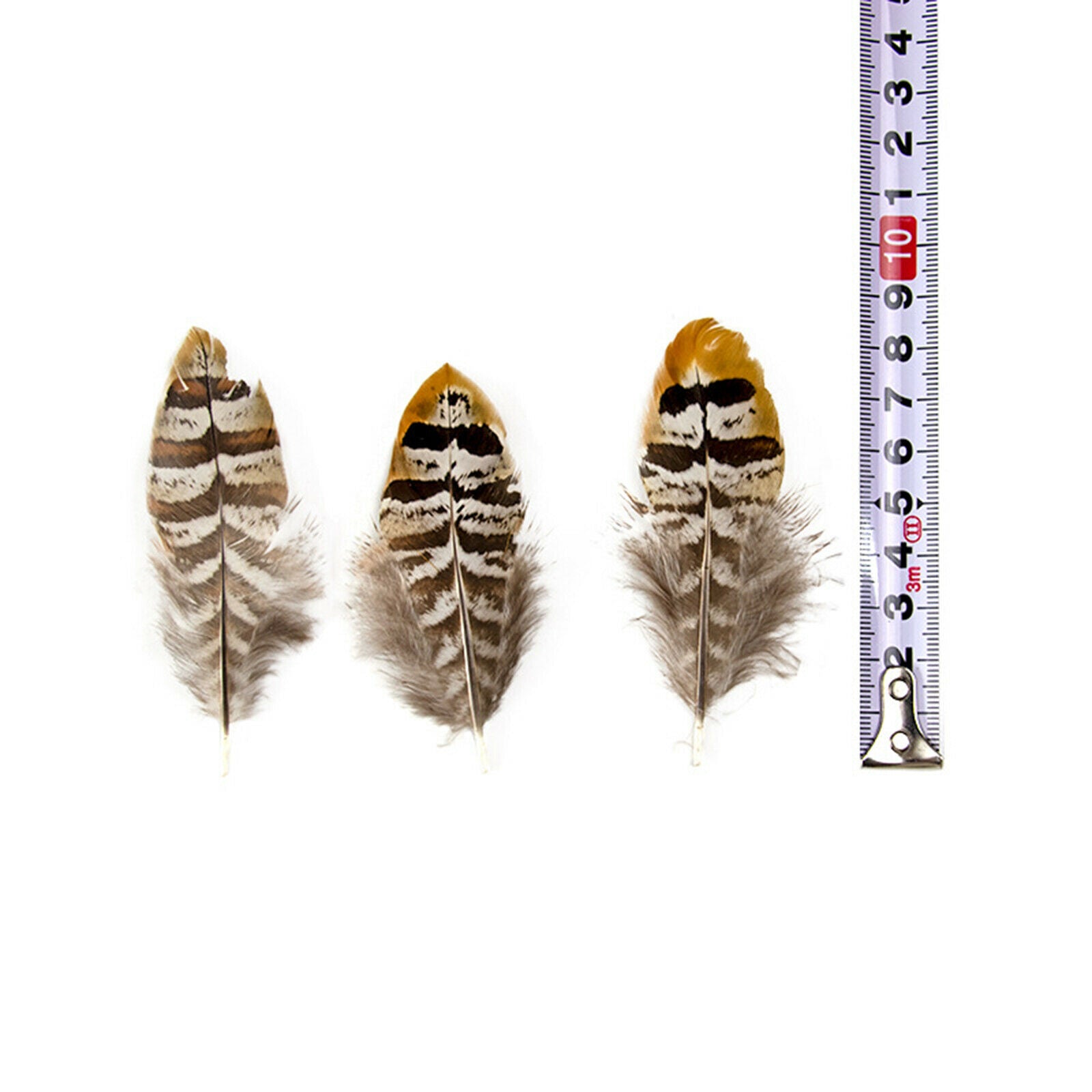 Natural Pheasant Feather Home Background Dream Catcher Earrings DIY 6-11cm