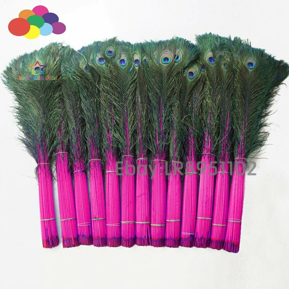 100 PCS Rose red Peacock Feather 70-80cm DIY Clothing Decoration Plumage Crafts