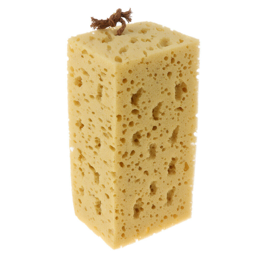 Macroporous Honeycomb Sponge Car Coral Cleaning Washing Spongnia