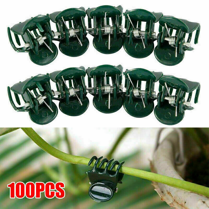 100x Plants Fix Clips Orchid Stem Vine Support Flowers Tied Branch Clamping Lots