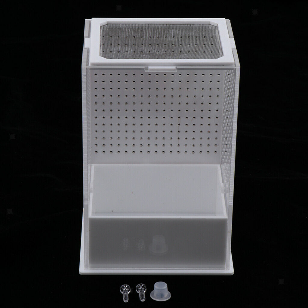 2x Reptile Feeding Box Transparent Cage Hatching Container for Lizard Frog 1