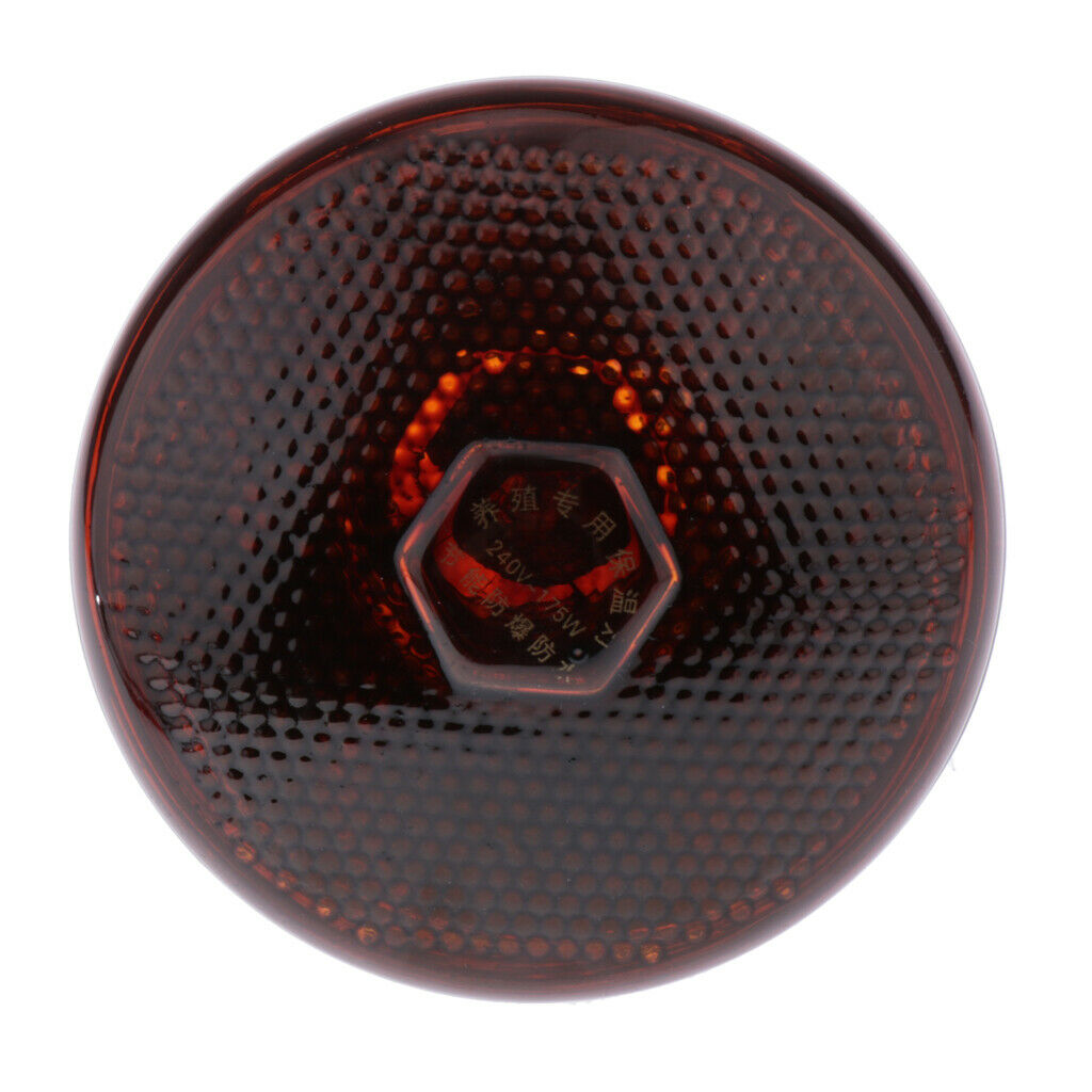 220V Basking Bulb Reptile Habitat Heat Light Bulbs Lamp 175W for Reptile Tank