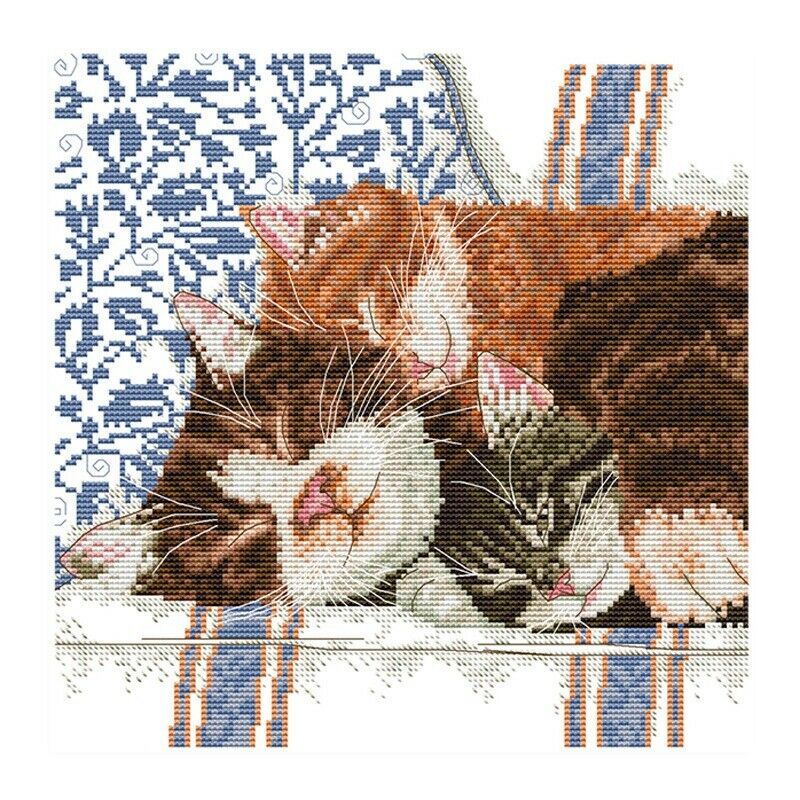 Cross Stitch Kits Stamped for Adults Beginner Kids 11CT DIY Embroidery NeedlR5O8