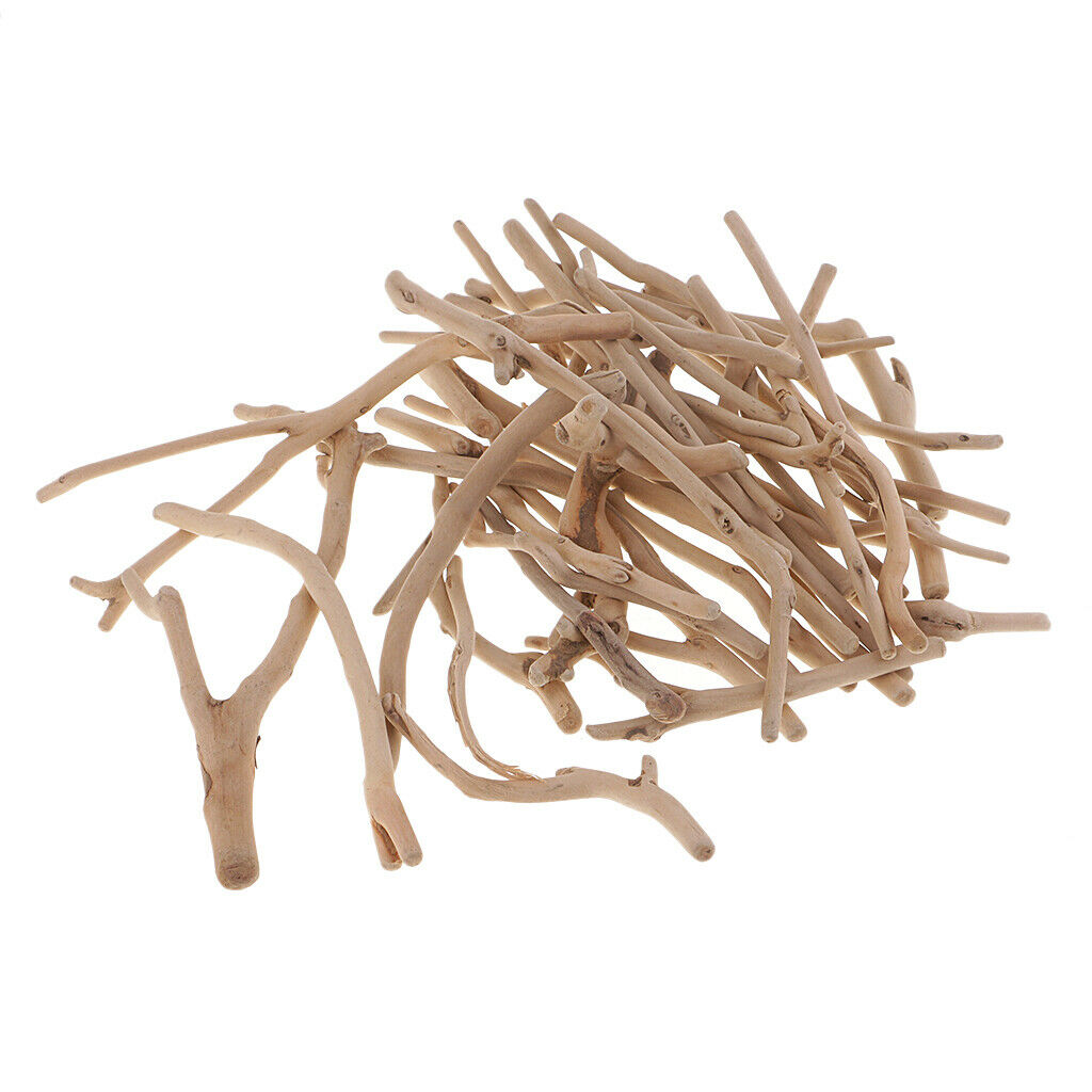 500g Driftwood Sticks Northumbrian Coastline Display Wreath Arts Crafts DIY
