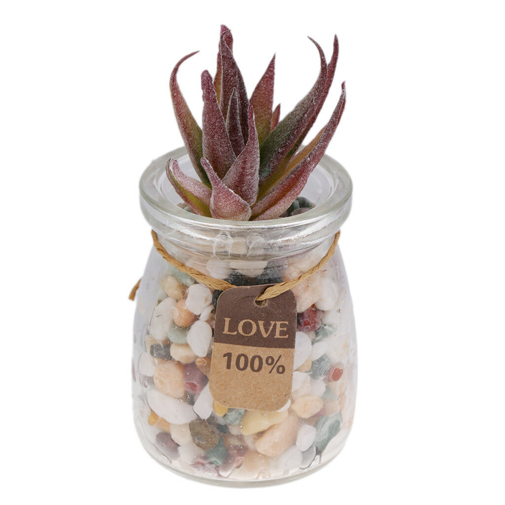 Artificial Succulent Plant Grass Foliage DIY Micro Landscape Floral Decor
