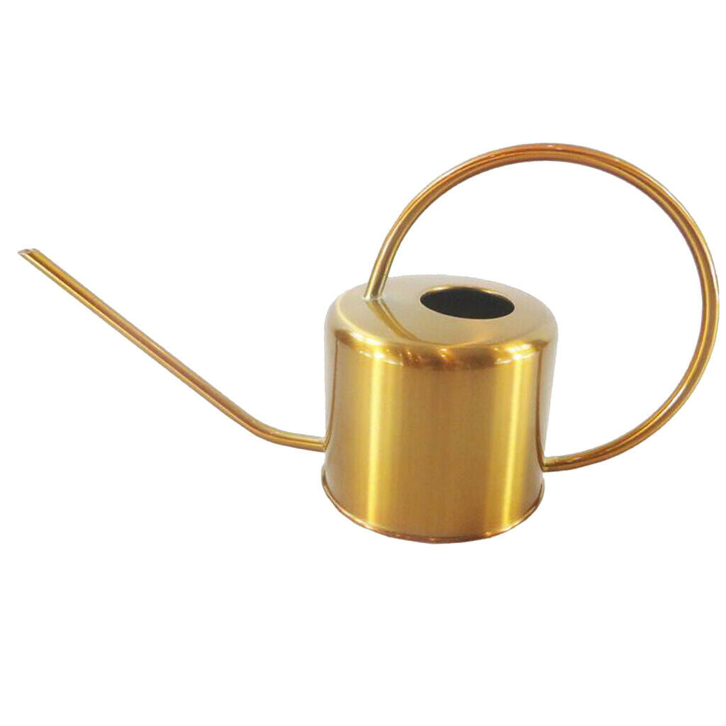Golden Houseplant Watering Can Long Spout for Flower Bonsai Modern Style