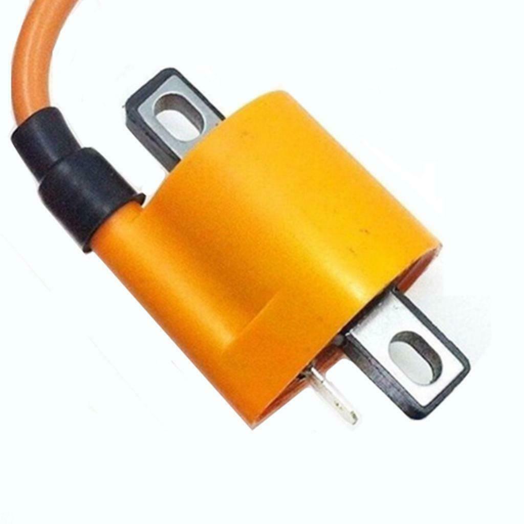 Motorbike Ignition Coil for CG 125cc 150cc 200cc ATV Quad Dirt Pit Bike
