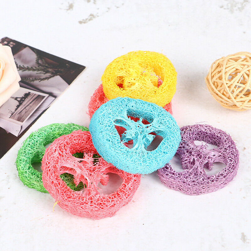 6 PCS Loofah Parrot Chew Toys Luffa Slices Shaped Bird Chew Toys Bird T JD