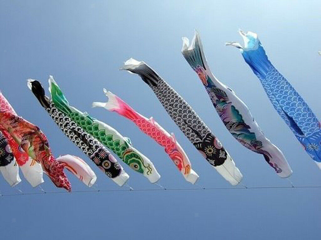 6Pcs Japanese Koi Koinobori Flag 55cm and 70cm Windsock Streamer Decor