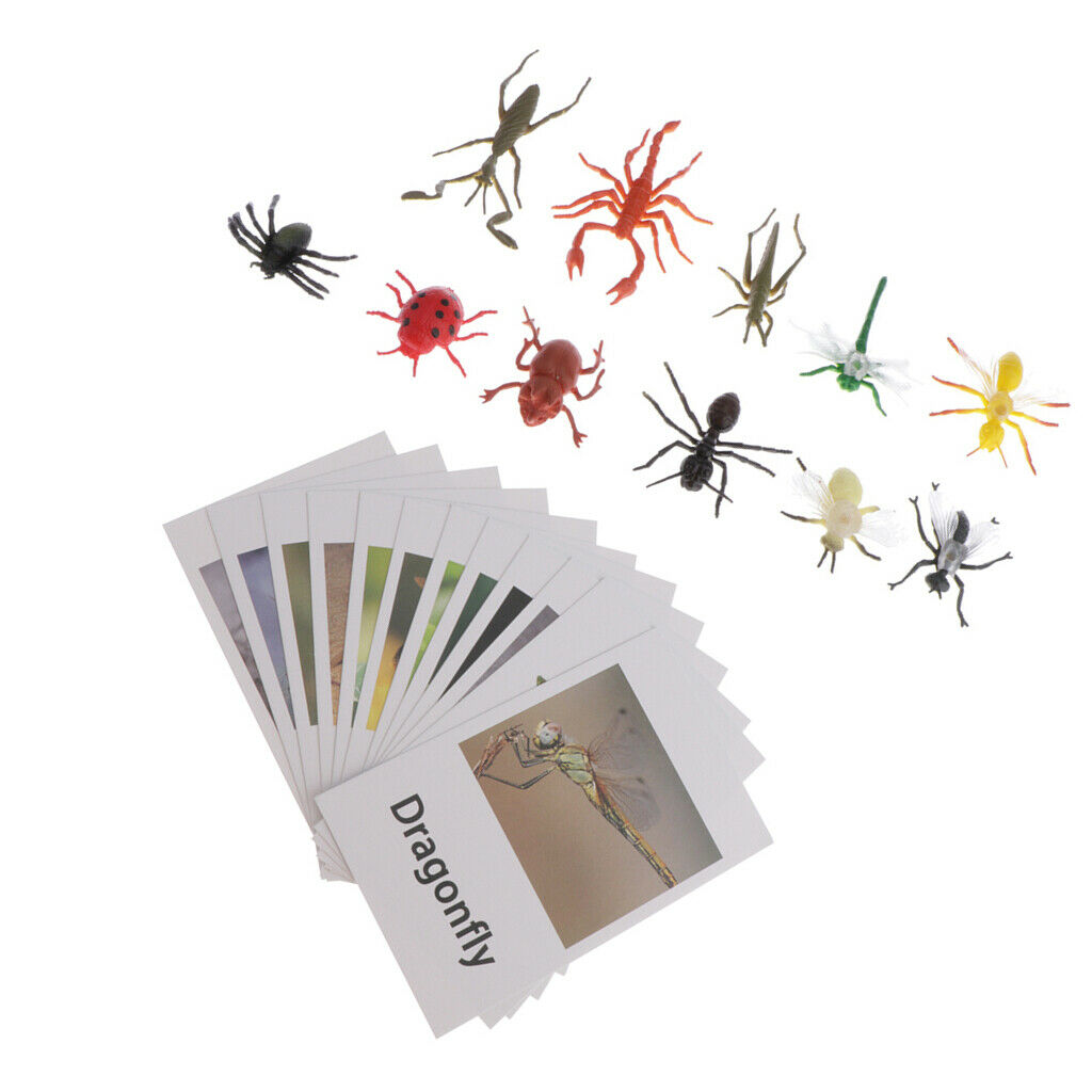 12pcs Insect Animal Match, with Learning Language Kids Cognitive Skills