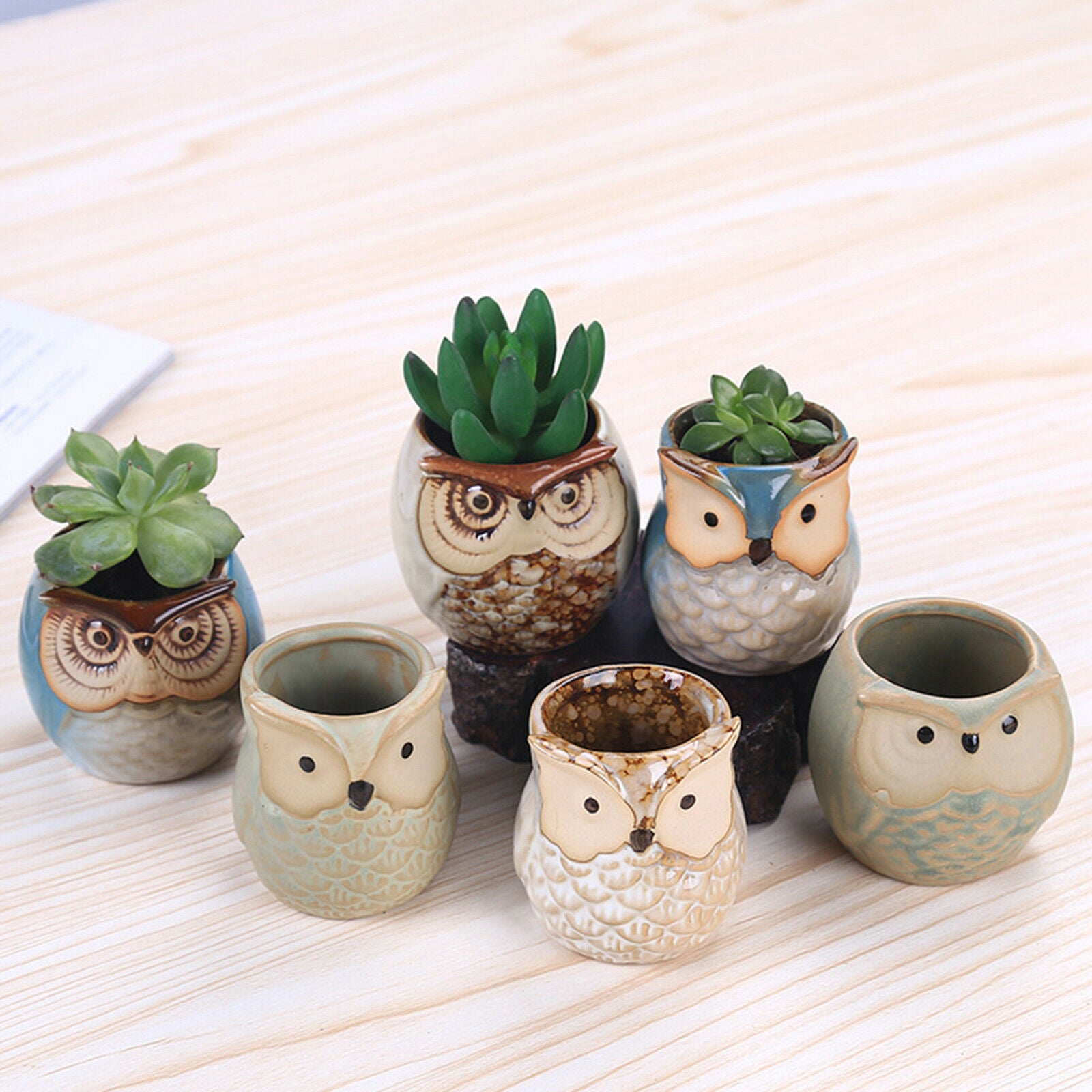 Mini Owl Succulent Plants Pots Flower Potted Plant Desktop Home Office Decor