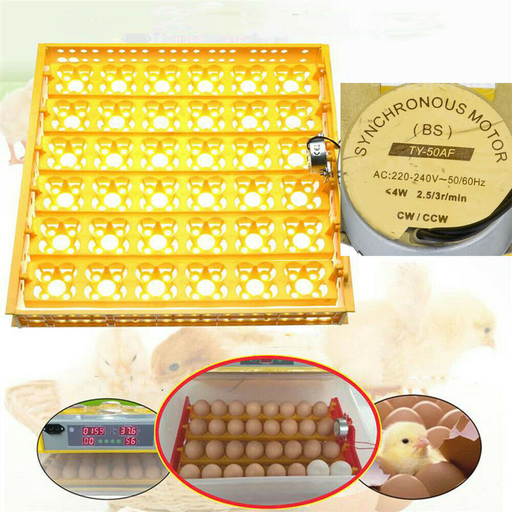 220V 56 Digital  Automatic Egg Turner with Egg Racks - Fits Chicken, Partridge,