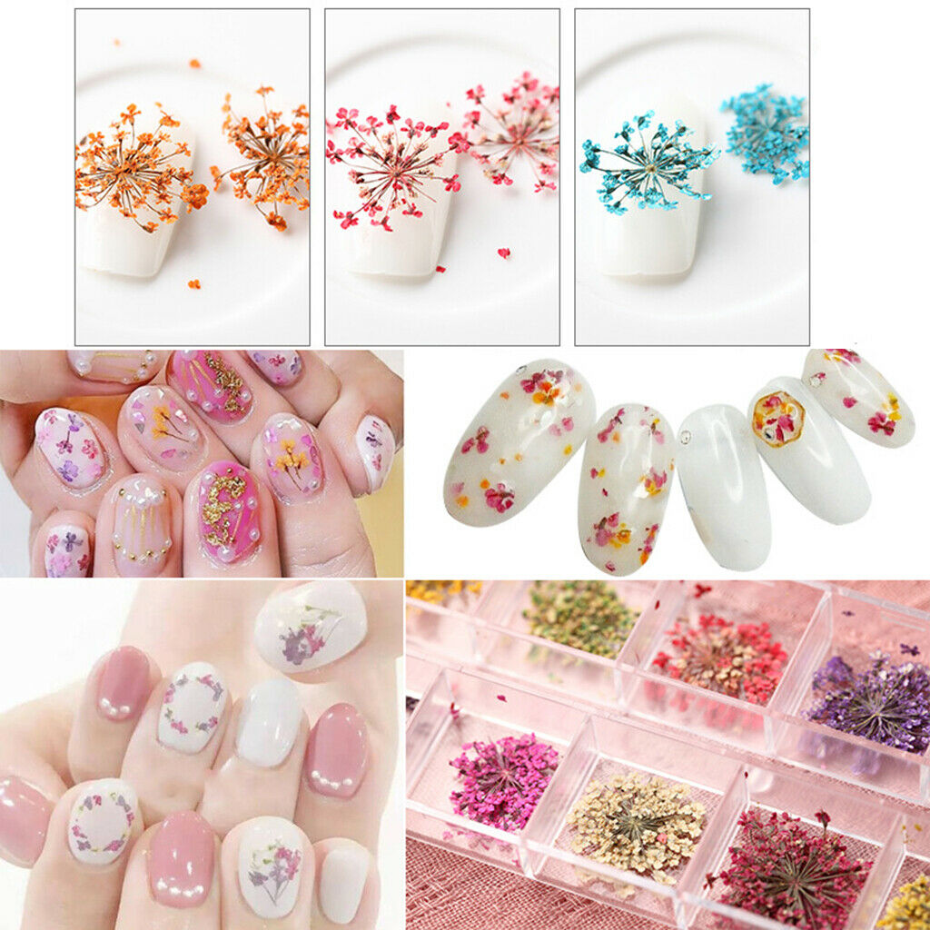 50pcs   Real Dried Flower for Nail Art Decoration Jewelry Making