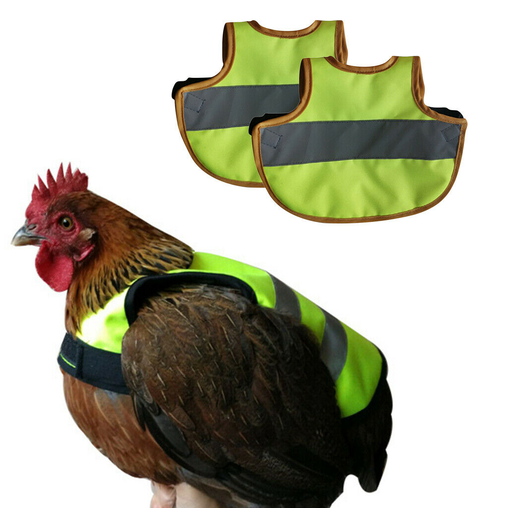 2 Pieces Reflective Vest For Pets Chicken Chair For