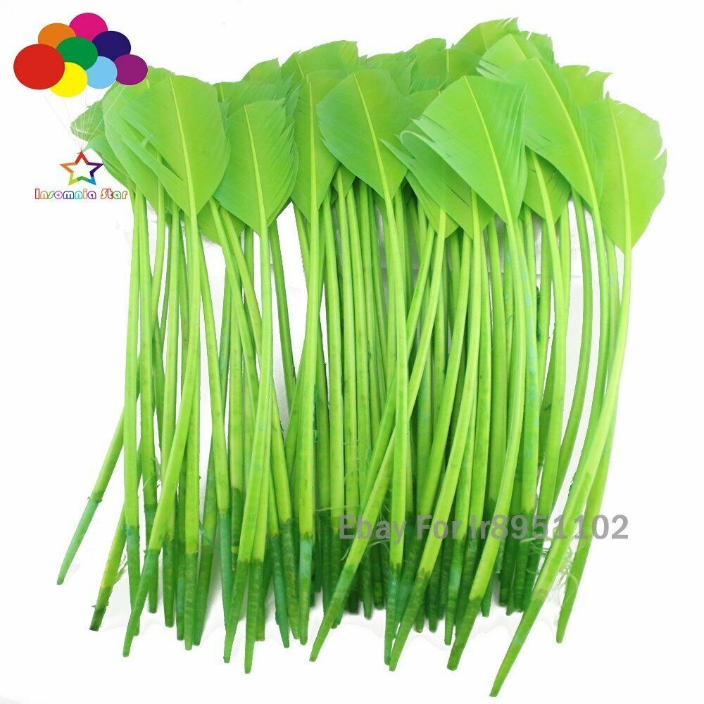 Fruit green 100 pcs 28-35cm turkey wing feathers 11-14inch Plume making Carnival