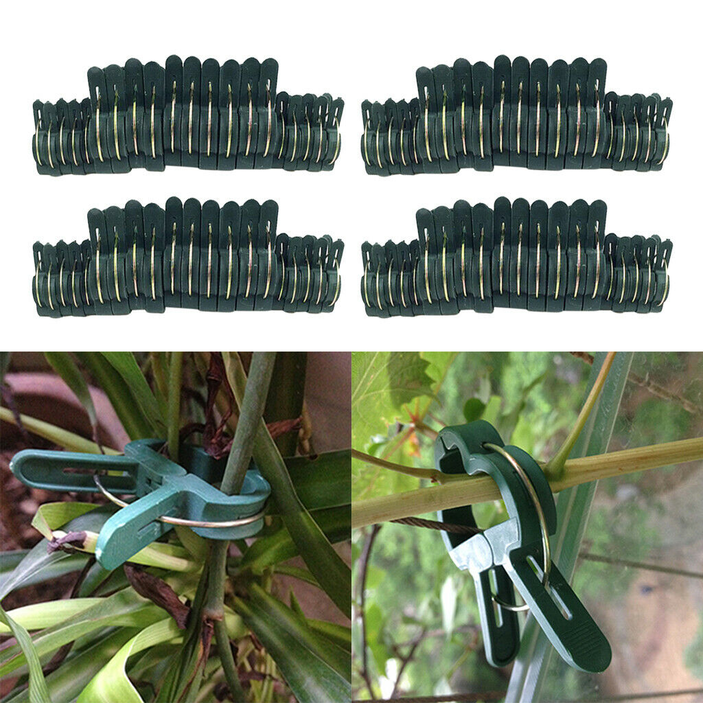 80 Pieces Plant & Flower Clips for Supporting Stems