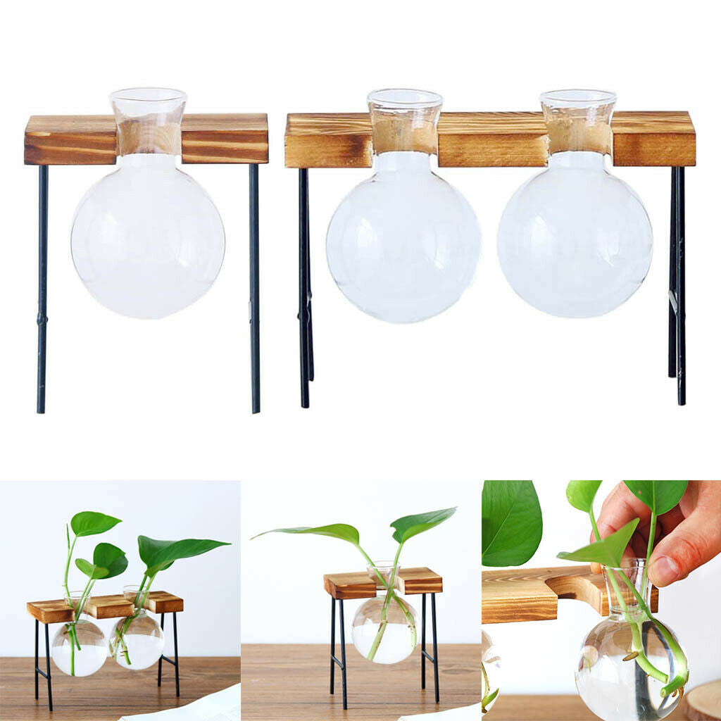 Set of 2 Hydroponic Glass Planter Container in Wooden Stand Plant Stand