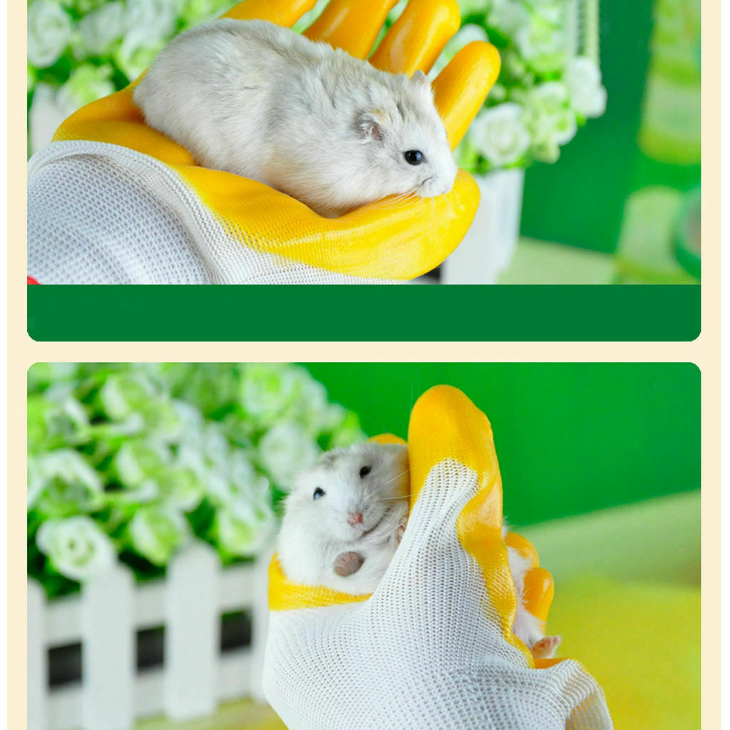 Bite-proof Protective Gloves for Hamsters Work Blue Zebra Crossing