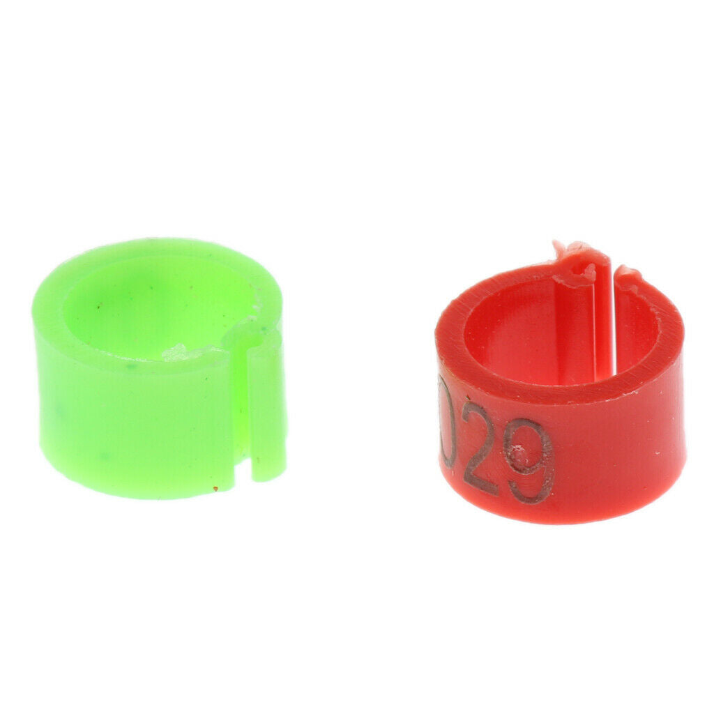 100Pcs Plastic Pigeon Leg Rings Bird Rings Identification Race Colorful Ring
