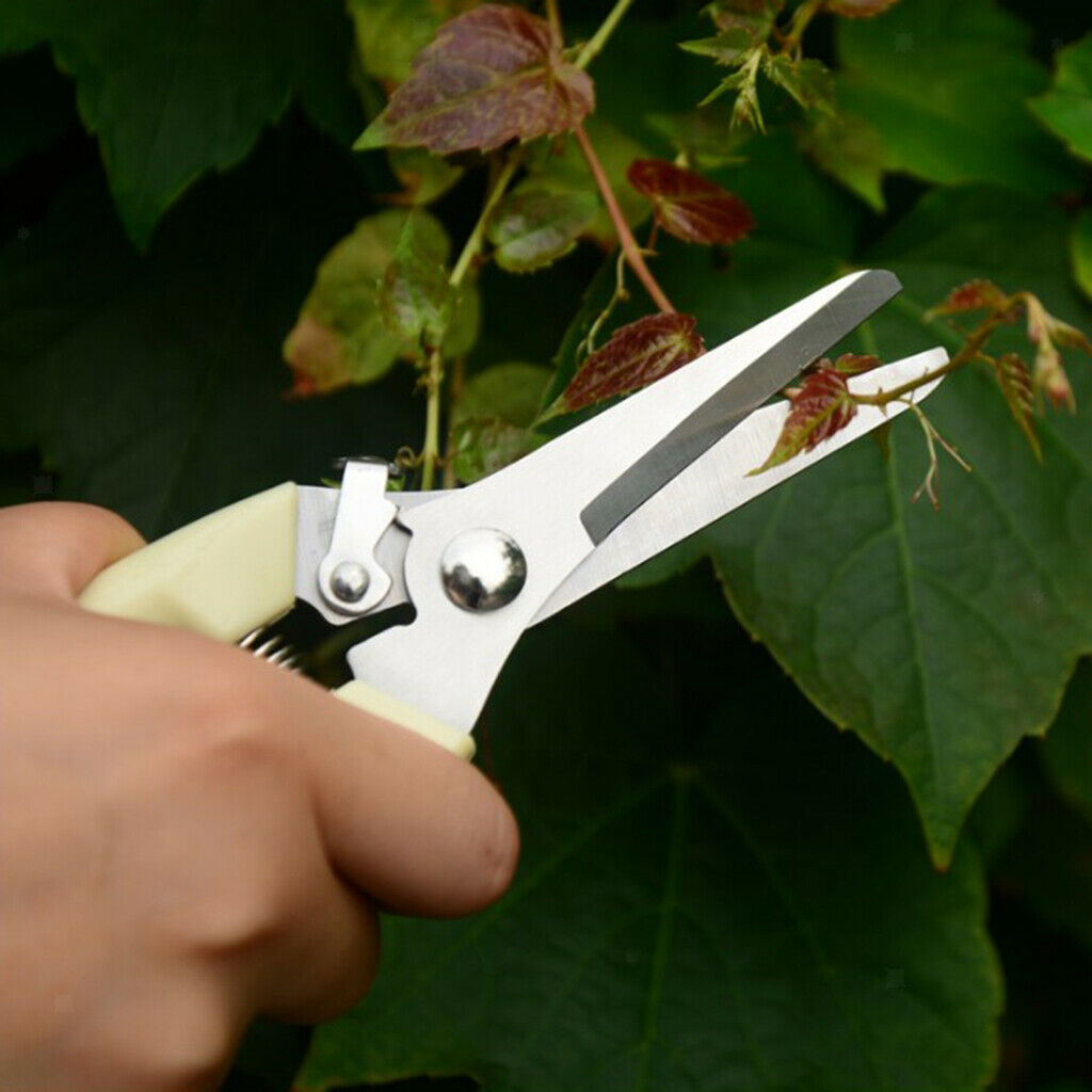 Gardening Bonsai Pruning Pruner Plant Cutter with Anti-slip Handle Cutting