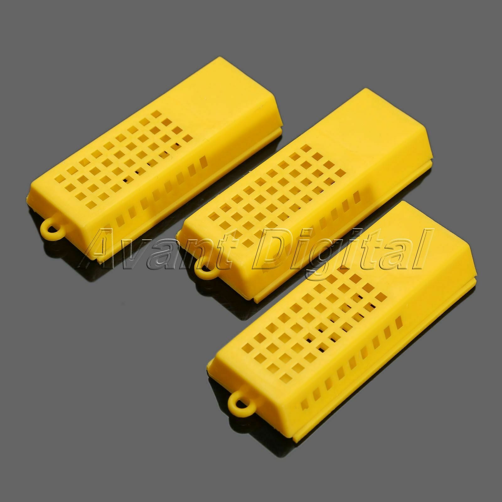 10Pcs Queen Bee Cages For Beekeeping Transport Post Queen Bee Holder Container
