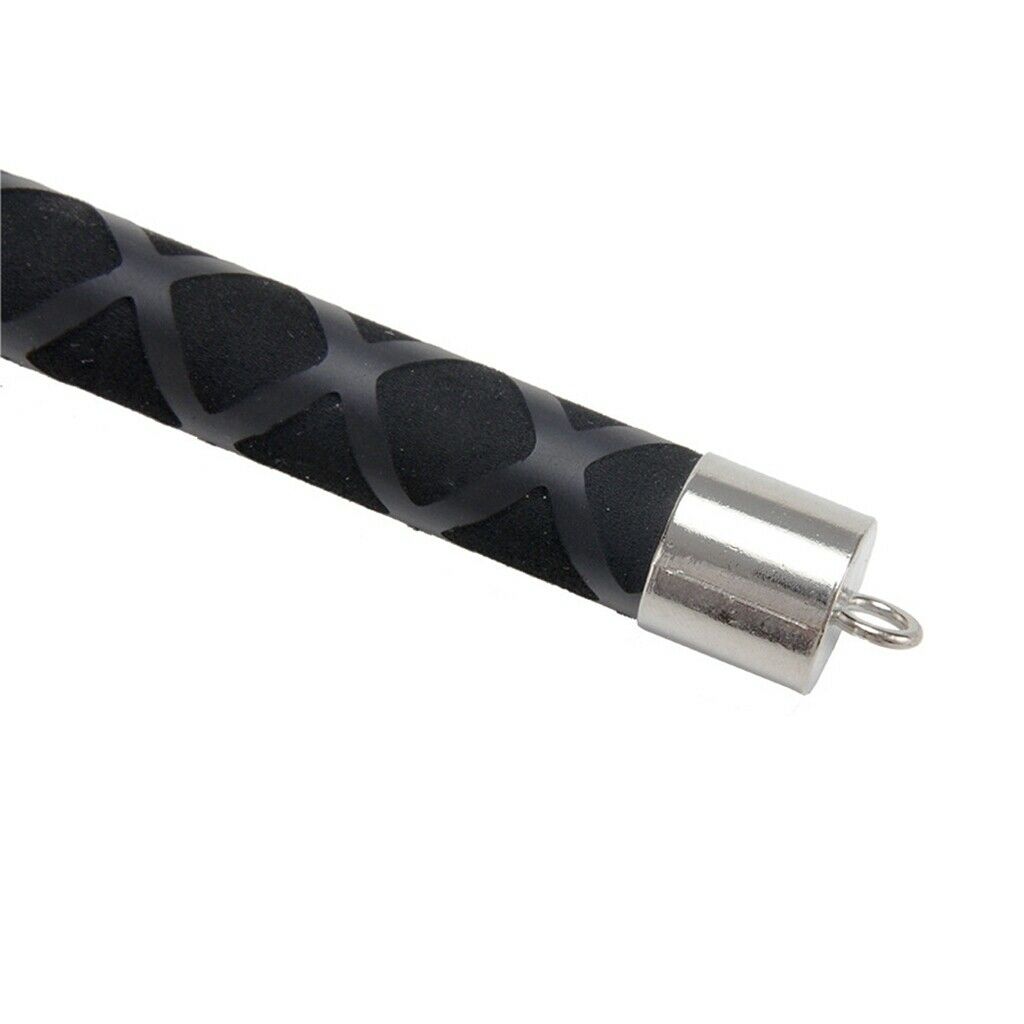 Pet Protective Equipment Training Stick
