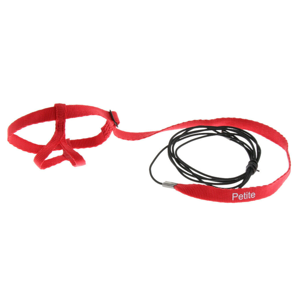 Bird Leash,Adjustable Pet Bird Parrot Cockatiel Harness Leash with Nappy Cloth