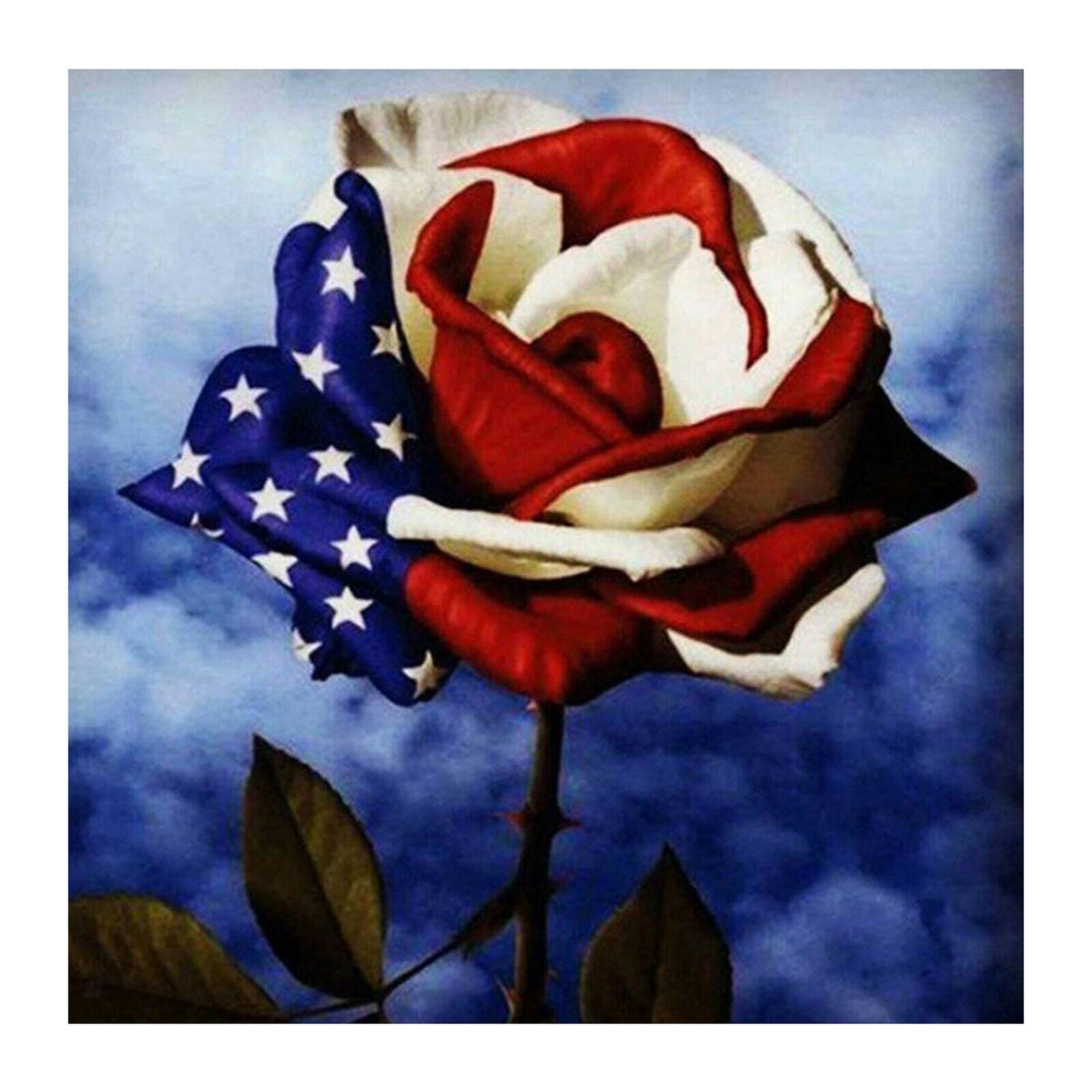 Flower DIY 5D Diamond Painting Kits Rhinestone Home Cross Stitch Arts Number