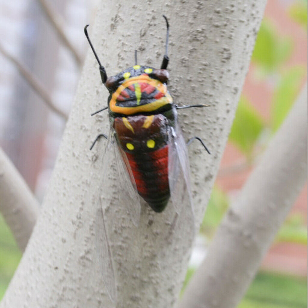 Realistic Insects Bugs Cicada for Halloween Party Favors Decoration