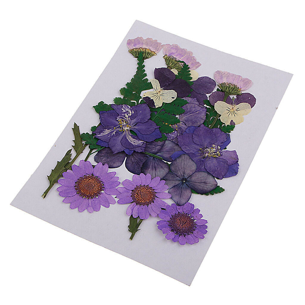 3 bags Dried Flower Leaf for Embellishment Crafts DIY Card Making Decor Ornament