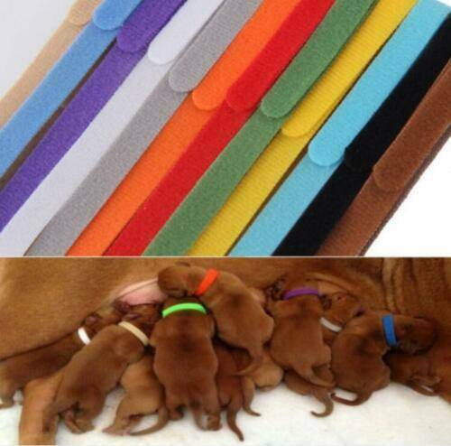 12Pcs/Set Adjustable Newborn Puppy ID Collar Pet Kitten Colors Cat Whelping Band