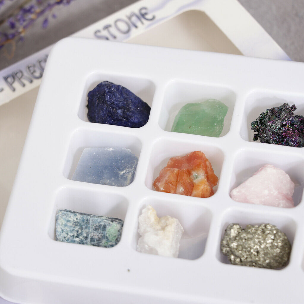 Rock and Mineral Earth Science School Teaching Display Collection Gift